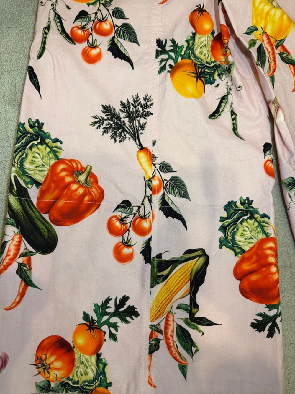 Maeve High-Rise Printed Crop Wide-Leg Pants garden veg print Anthropologie US10 - Picture 11 of 13